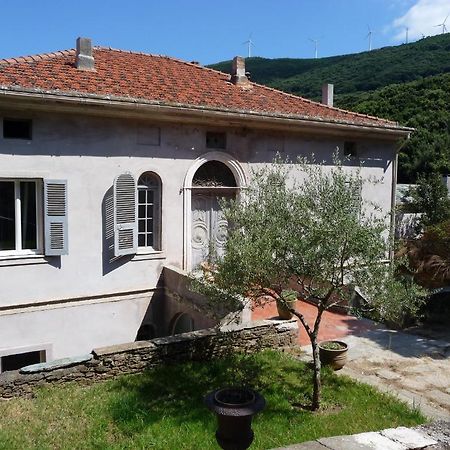 Casa A Rota Chambres D'Hotes Ersa エクステリア 写真