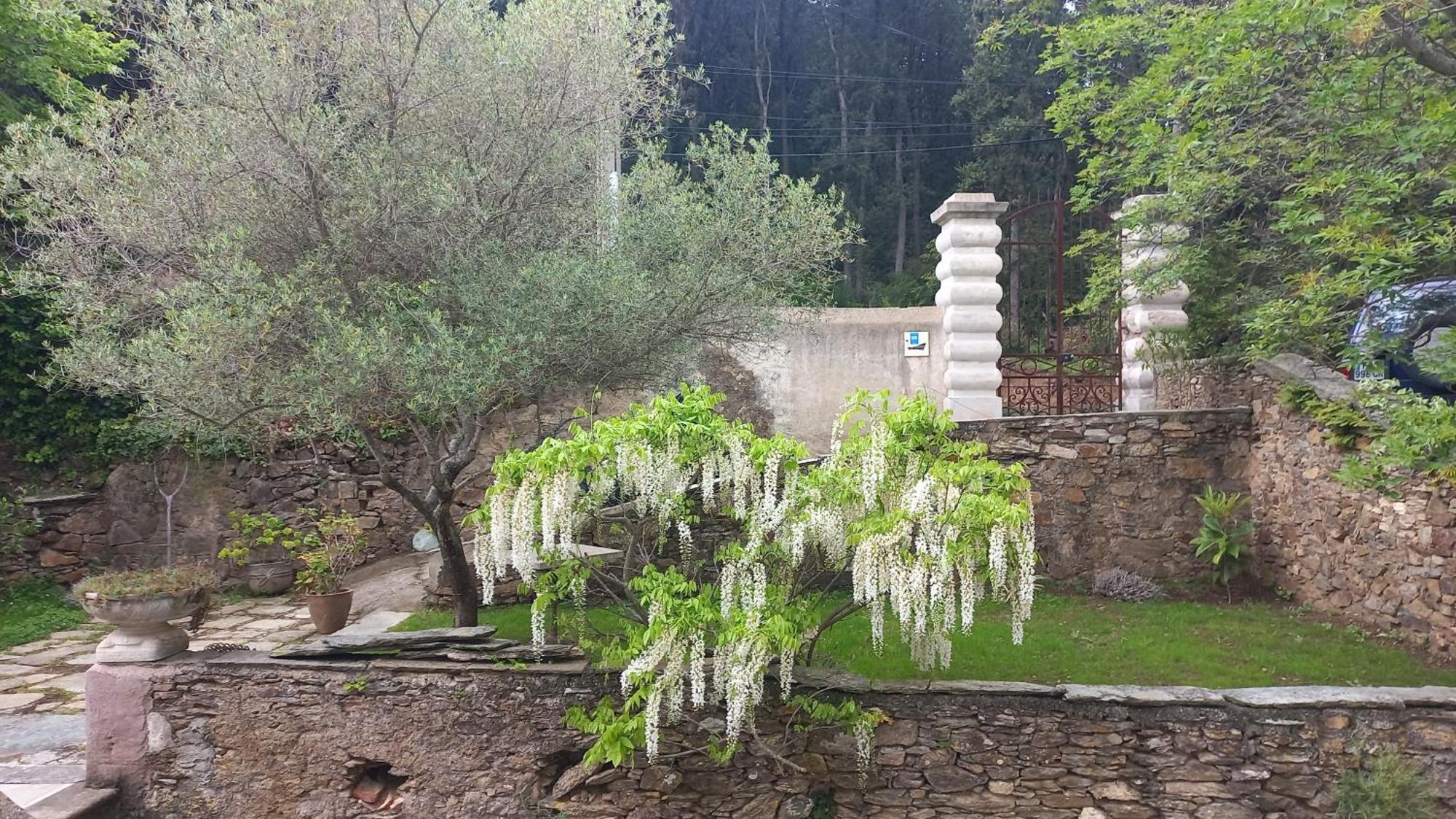 Casa A Rota Chambres D'Hotes Ersa エクステリア 写真